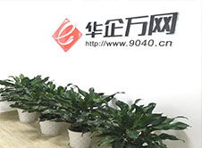 公司簡(jiǎn)介 武漢網(wǎng)站建設(shè) 網(wǎng)站seo優(yōu)化推廣 h5網(wǎng)站案例 營(yíng)銷型微信小程序開發(fā) 高端網(wǎng)站定制 外貿(mào)網(wǎng)站 網(wǎng)頁(yè)設(shè)計(jì) 華企萬(wàn)網(wǎng)